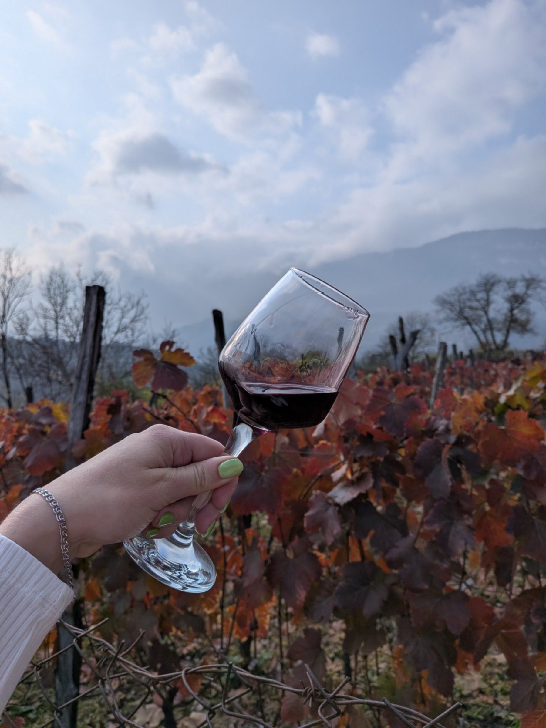 degustacja wina aleksandrouli