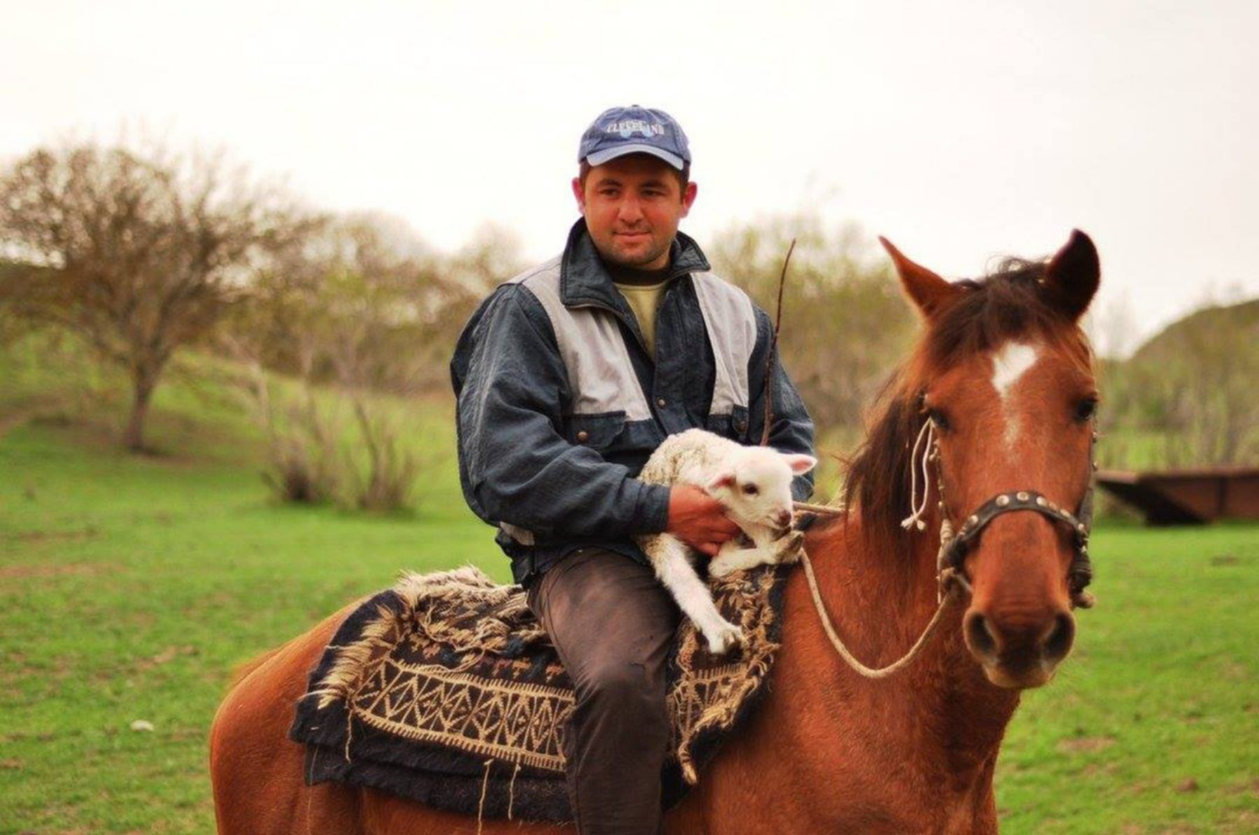 dżygit, pasterz z owieczką, siedzi na koniu