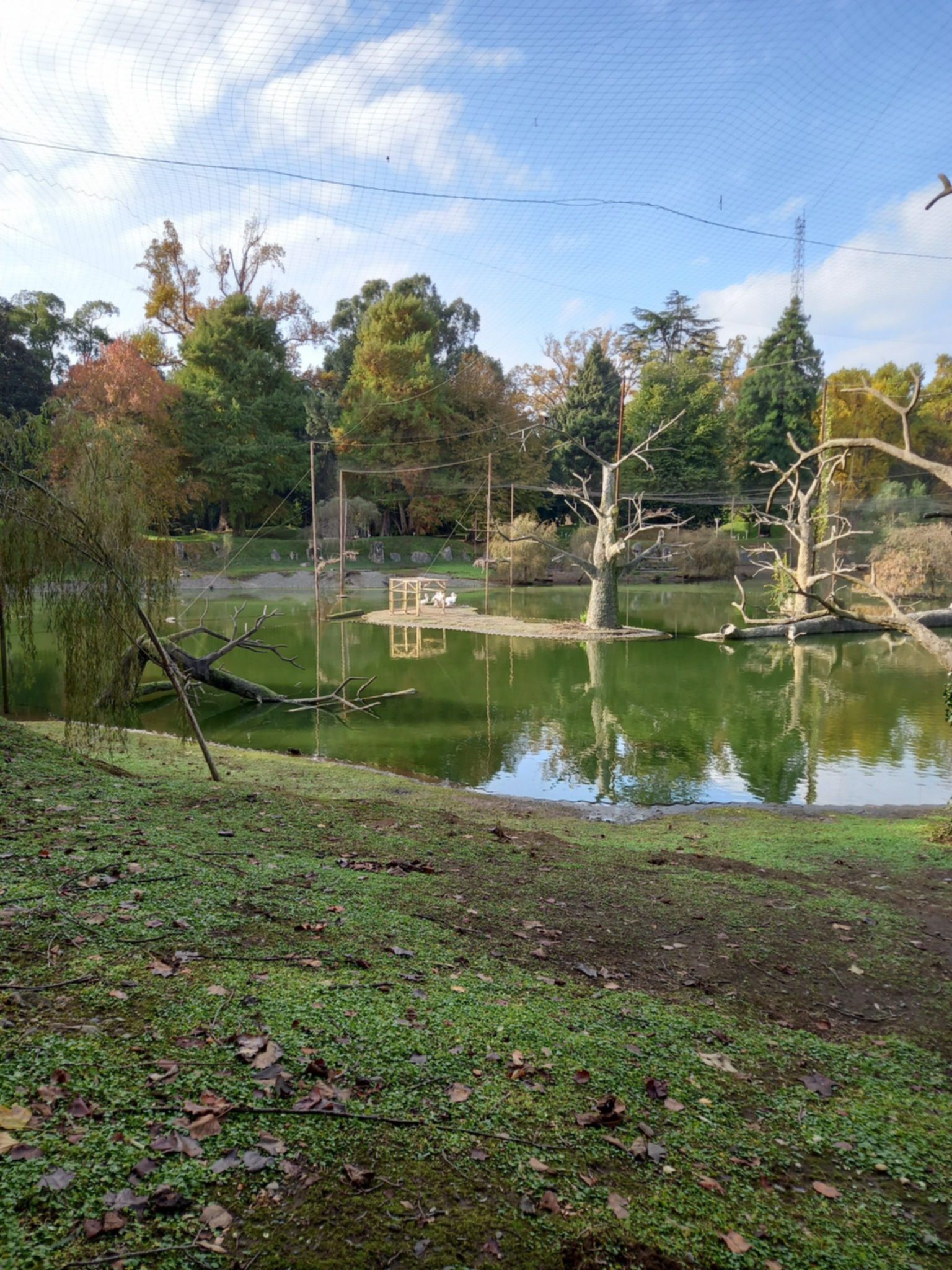 park dendrologiczny w szekwetili