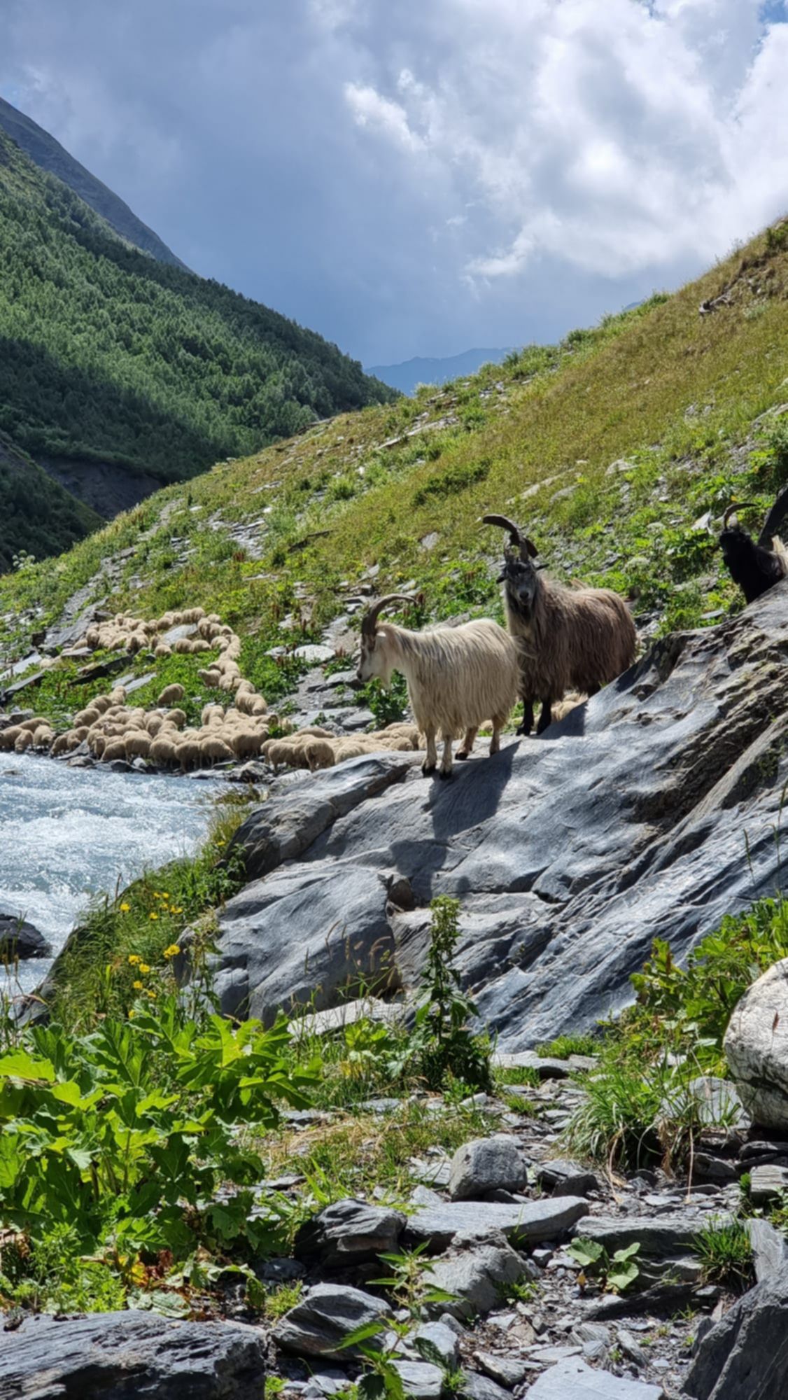 Girevi - polana Kvakhidi
