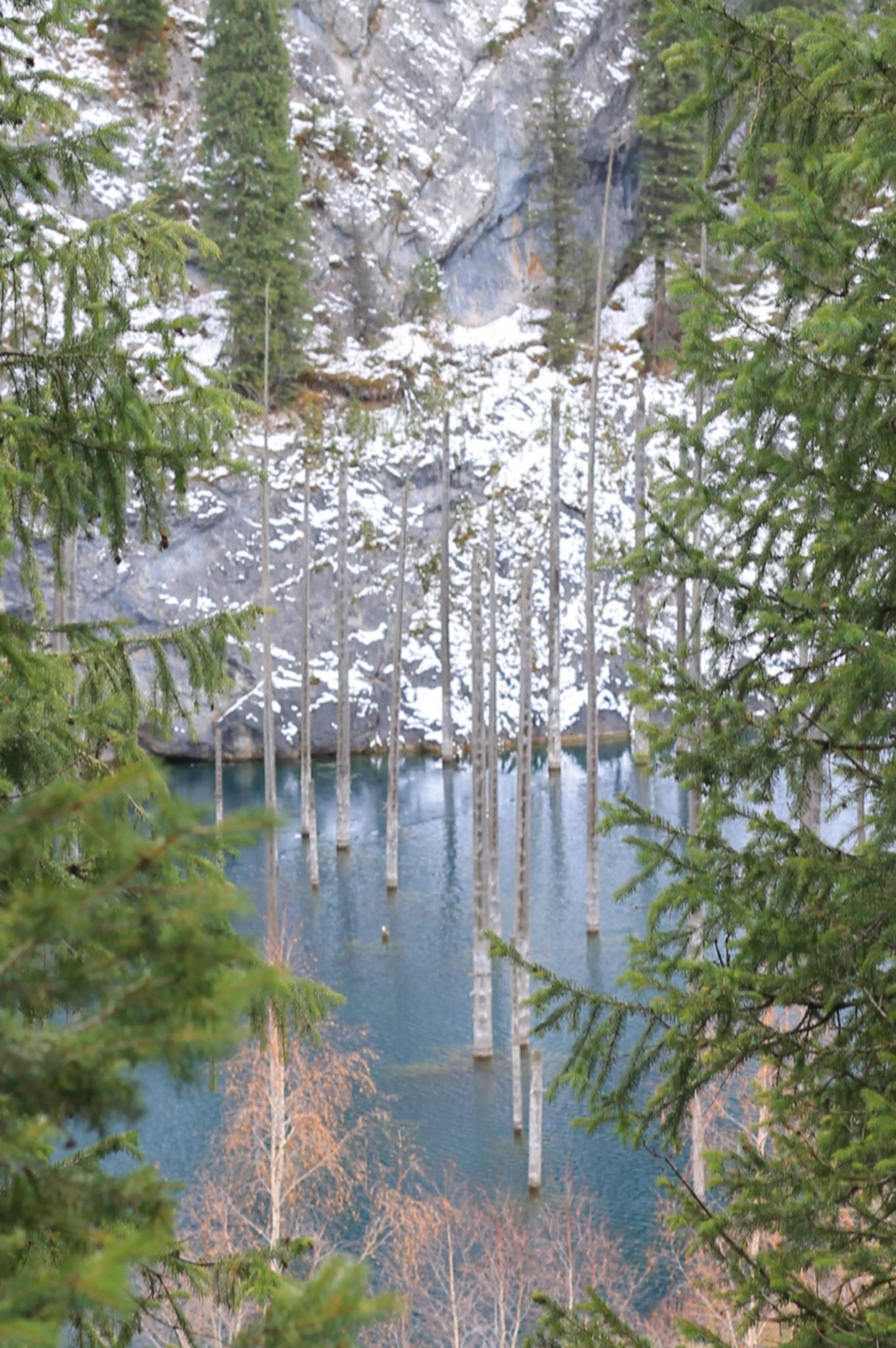 Jezioro Kajindy, z charakterystycznymi zatopionymi drzewami