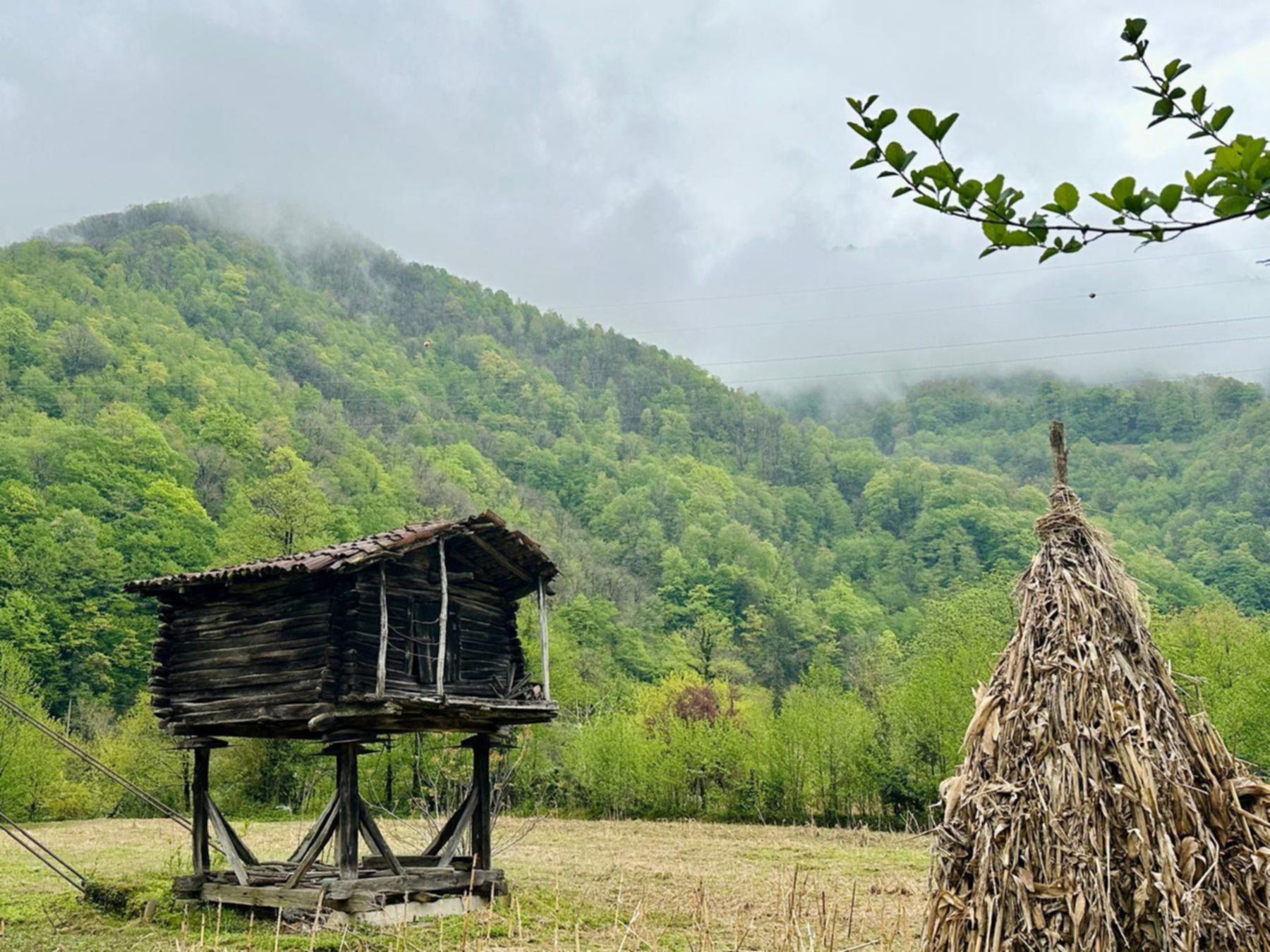 Tradycyjna drewniana zabudowa w górskiej Gruzji – autentyczne życie lokalnych mieszkańców