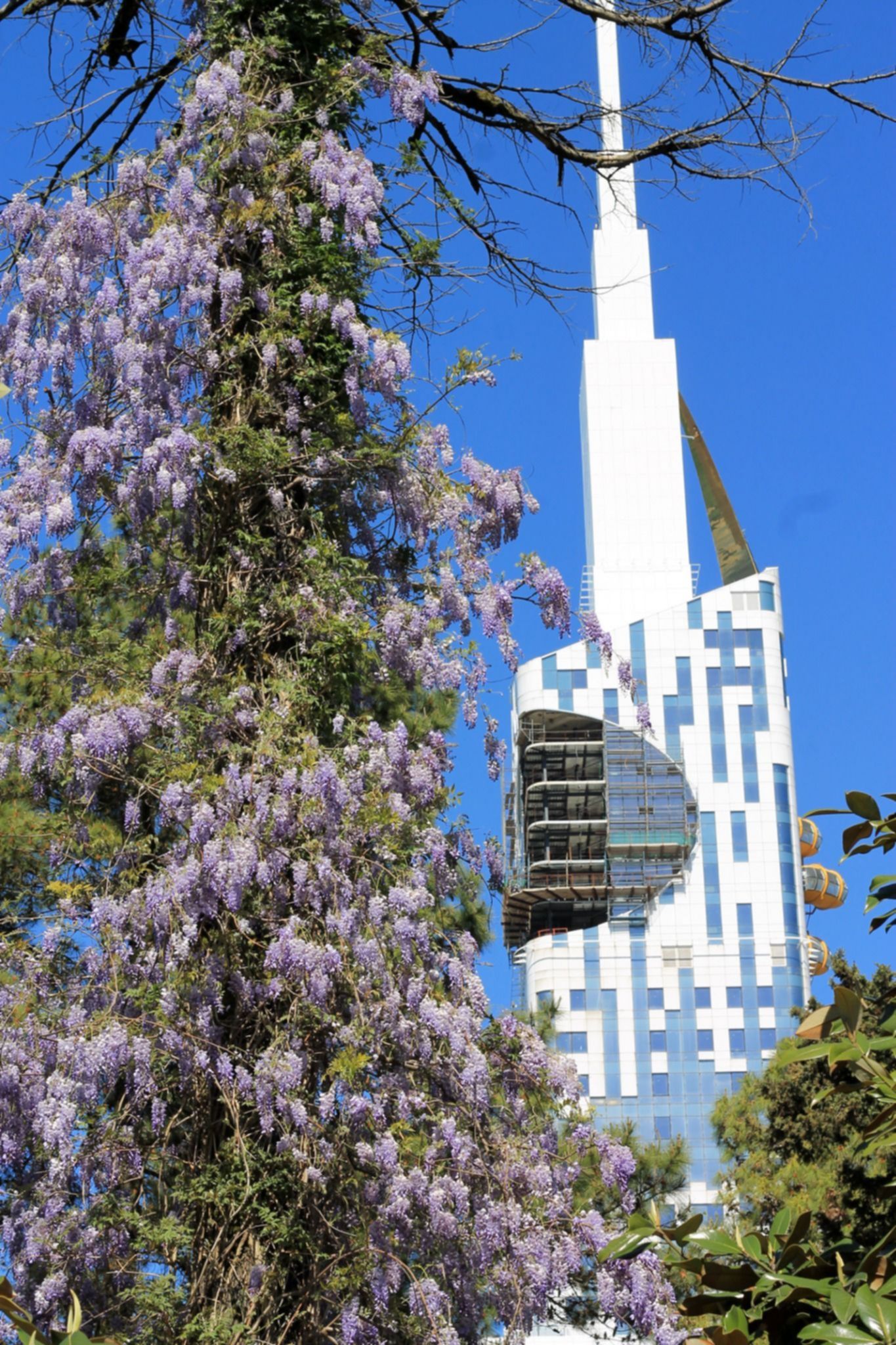 Nowoczesne symbole Batumi na tle Morza Czarnego