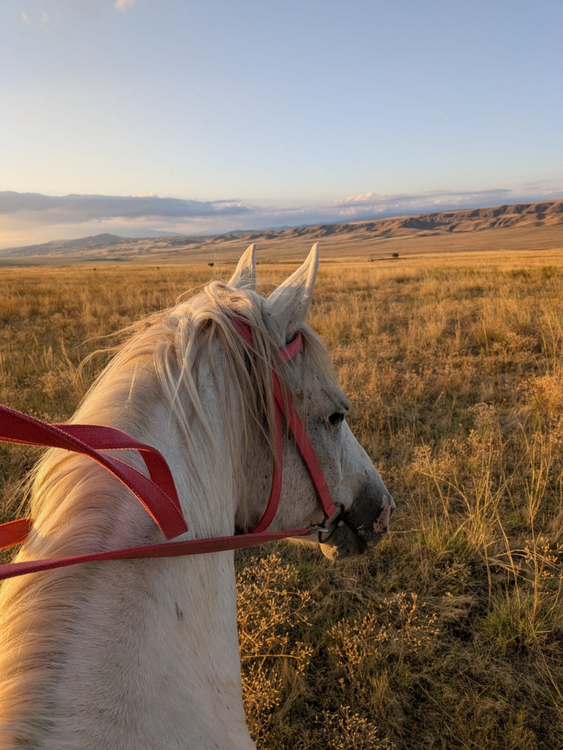 Jazda konna przez otwarte stepy – aktywna przygoda i kontakt z naturą podczas wyprawy po Gruzji