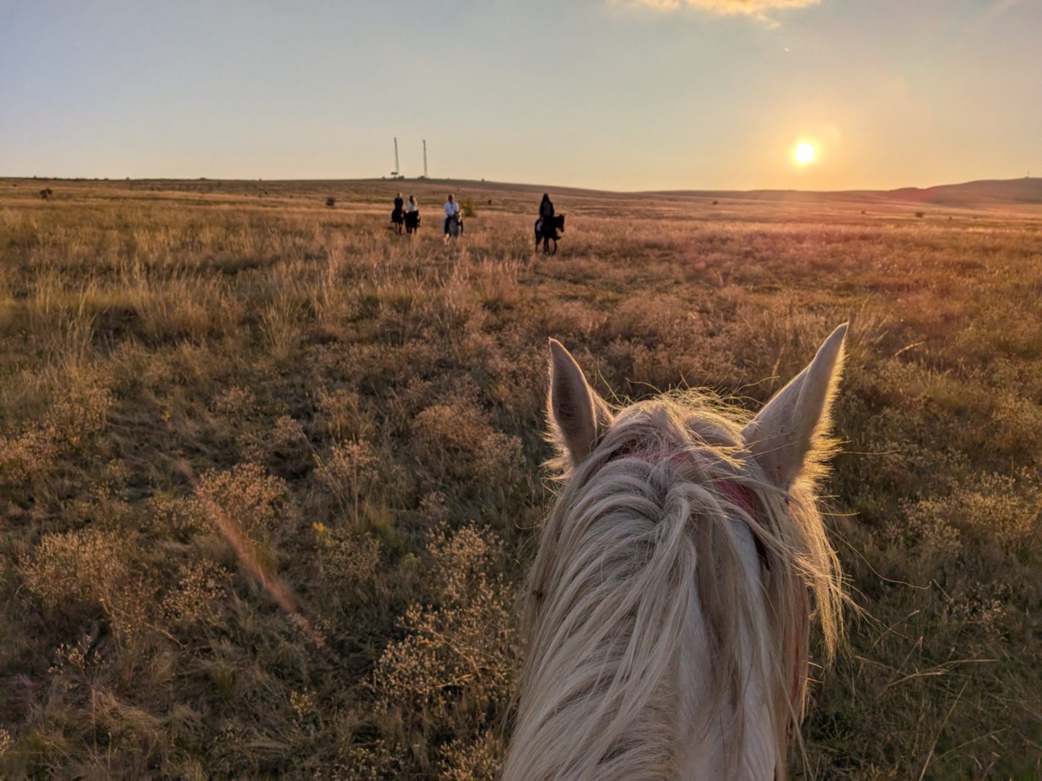 Konna wyprawa o zachodzie słońca – niezapomniane emocje i przestrzeń kaukaskich stepów w Gruzji