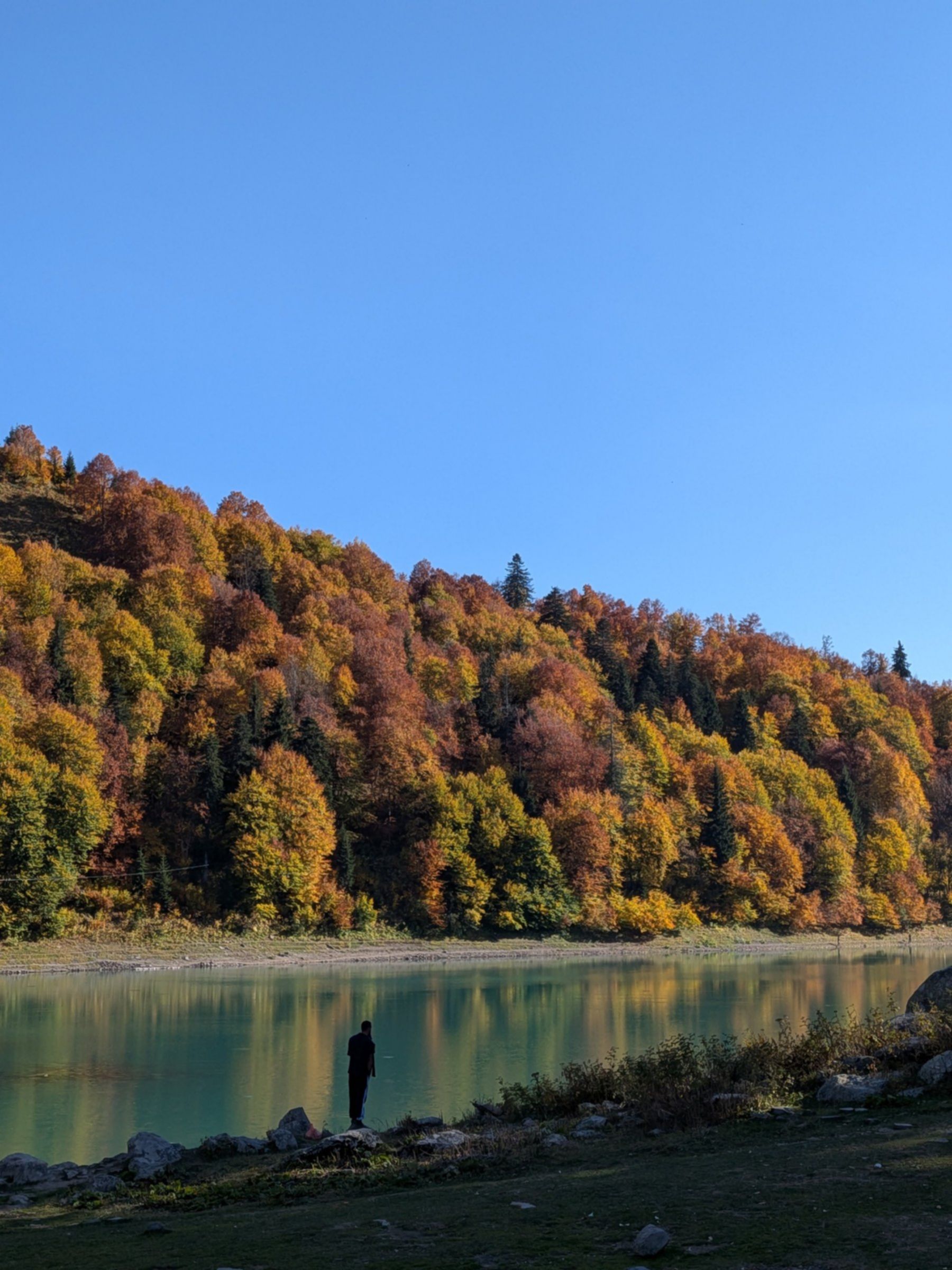 zielone jezioro jesienią
