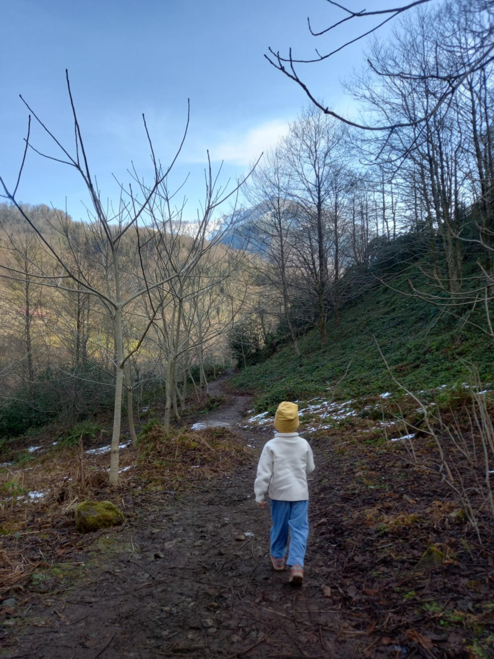 szlak w parku narodowym mtirala