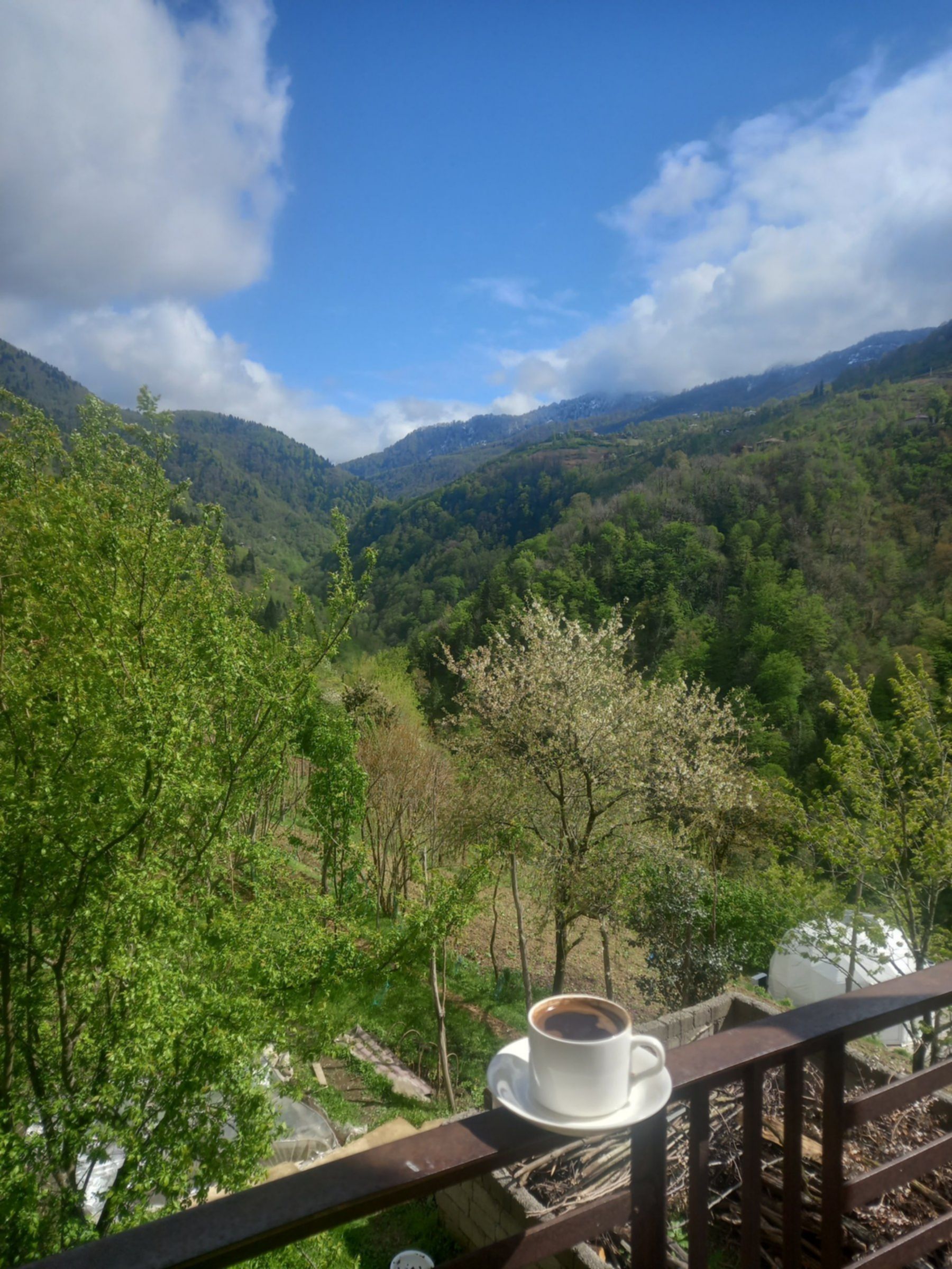 kawa z widokiem na masyw Małego Kaukazu