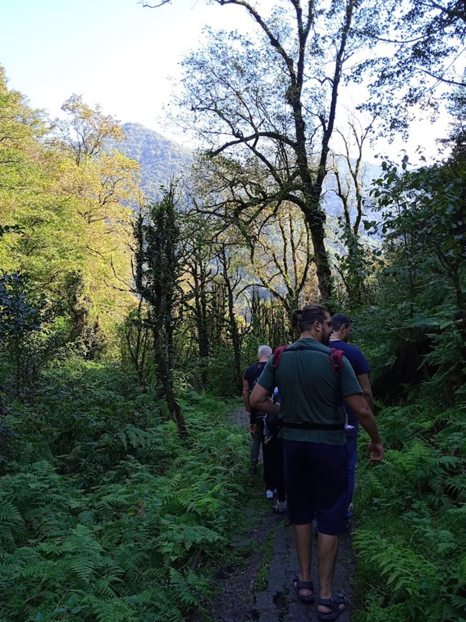 ścieżka do wodospadu