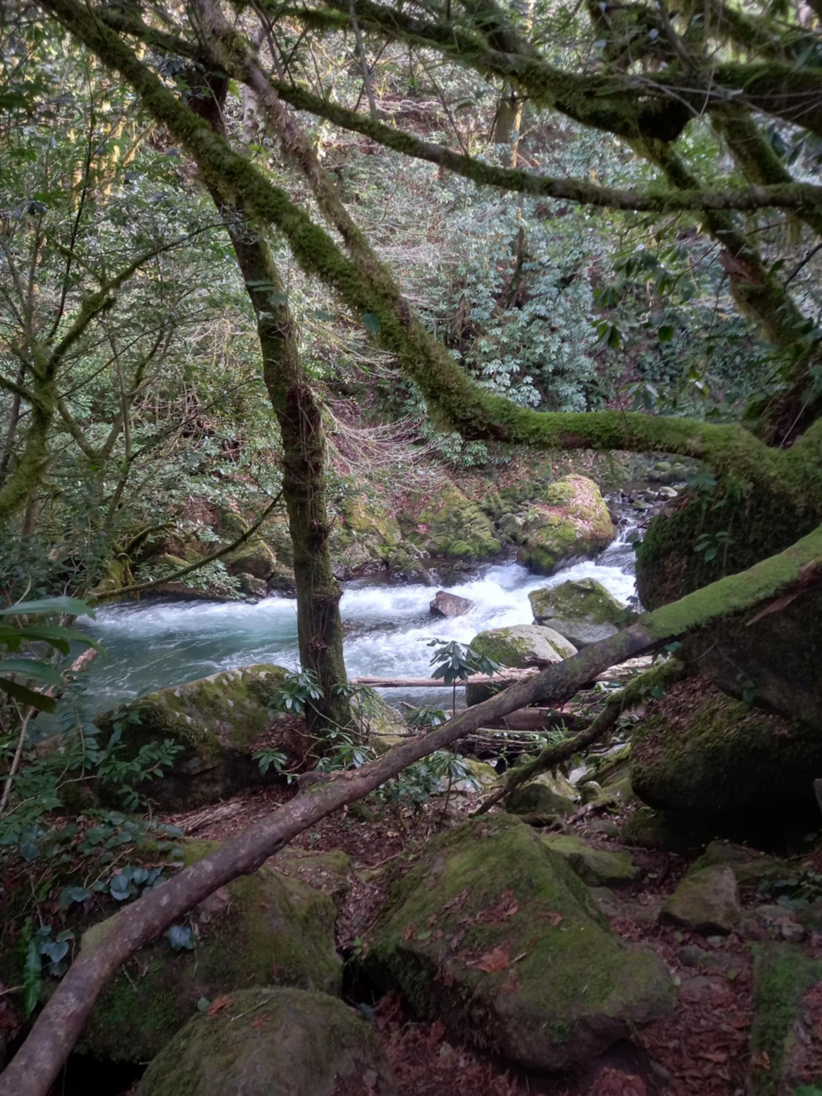 Park Narodowy Mtirala