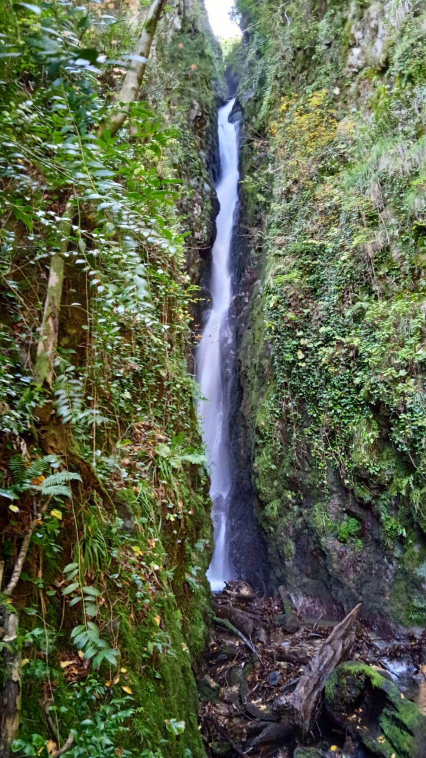 Ukryte perełki Adżarii