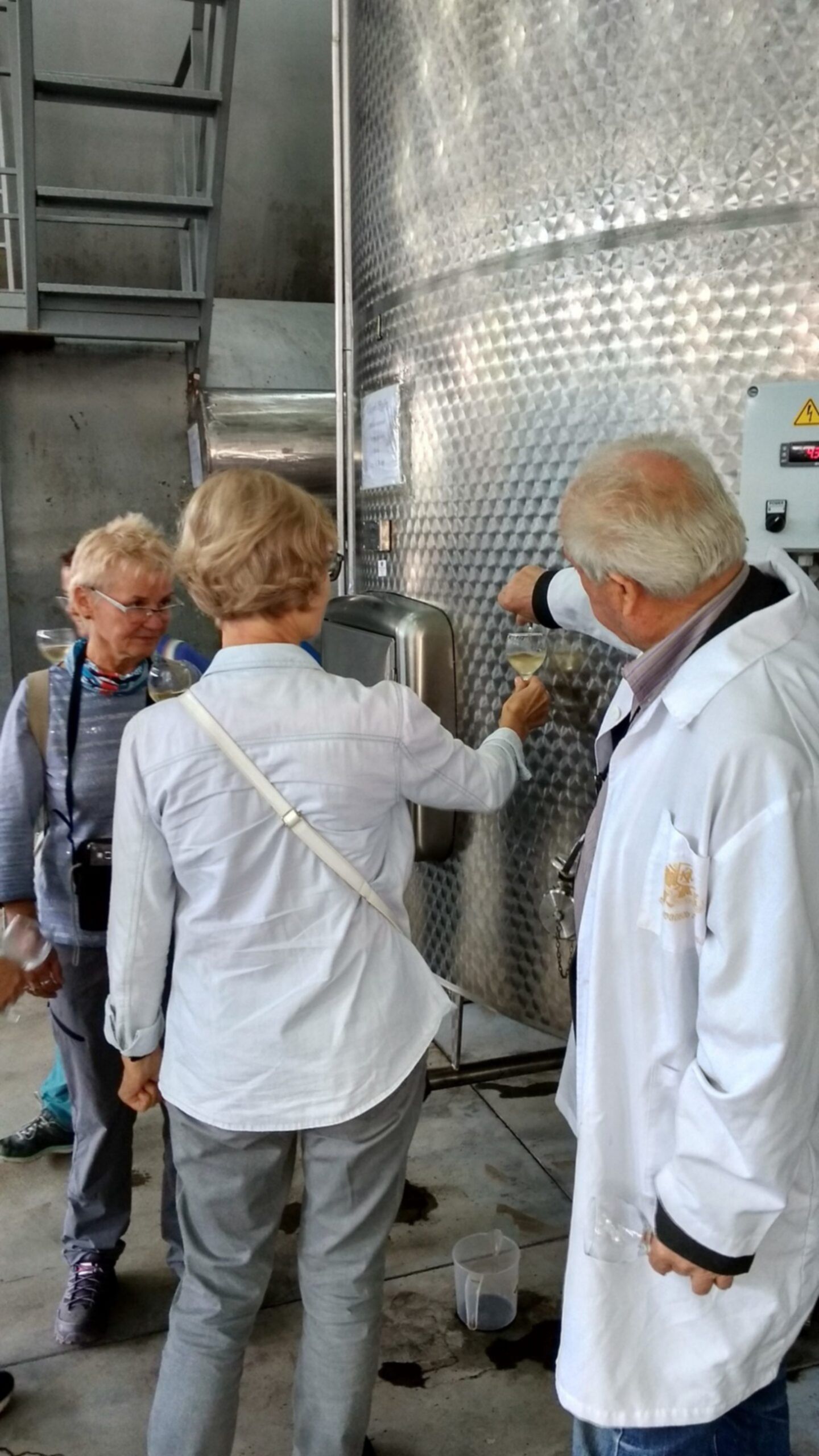 degustaja w fabryce wina