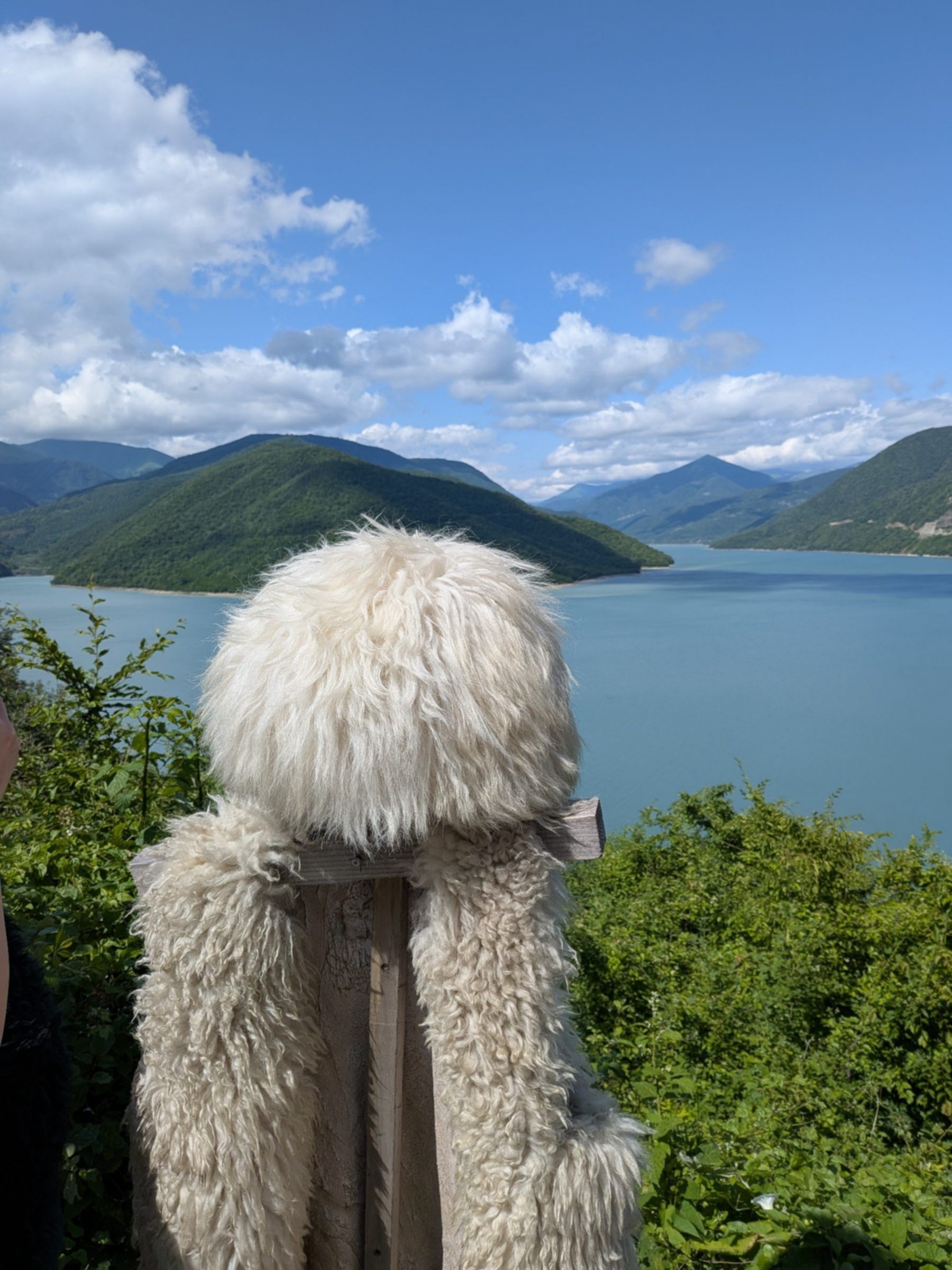 Tradycyjna gruzińska papacha na tle turkusowych wód zbiornika Żinwali