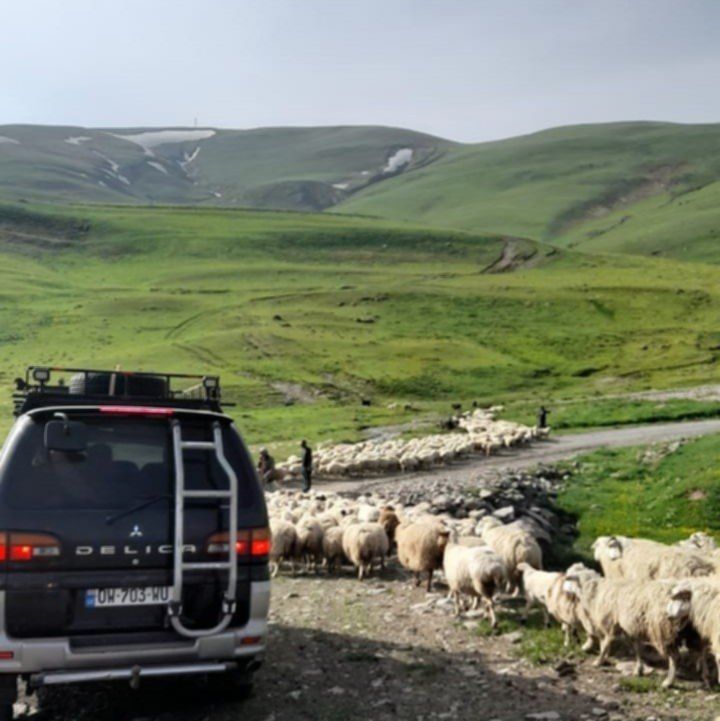 Podążając za pasterzami: Racza–Leczchumi i Samcche-Dżawachetia