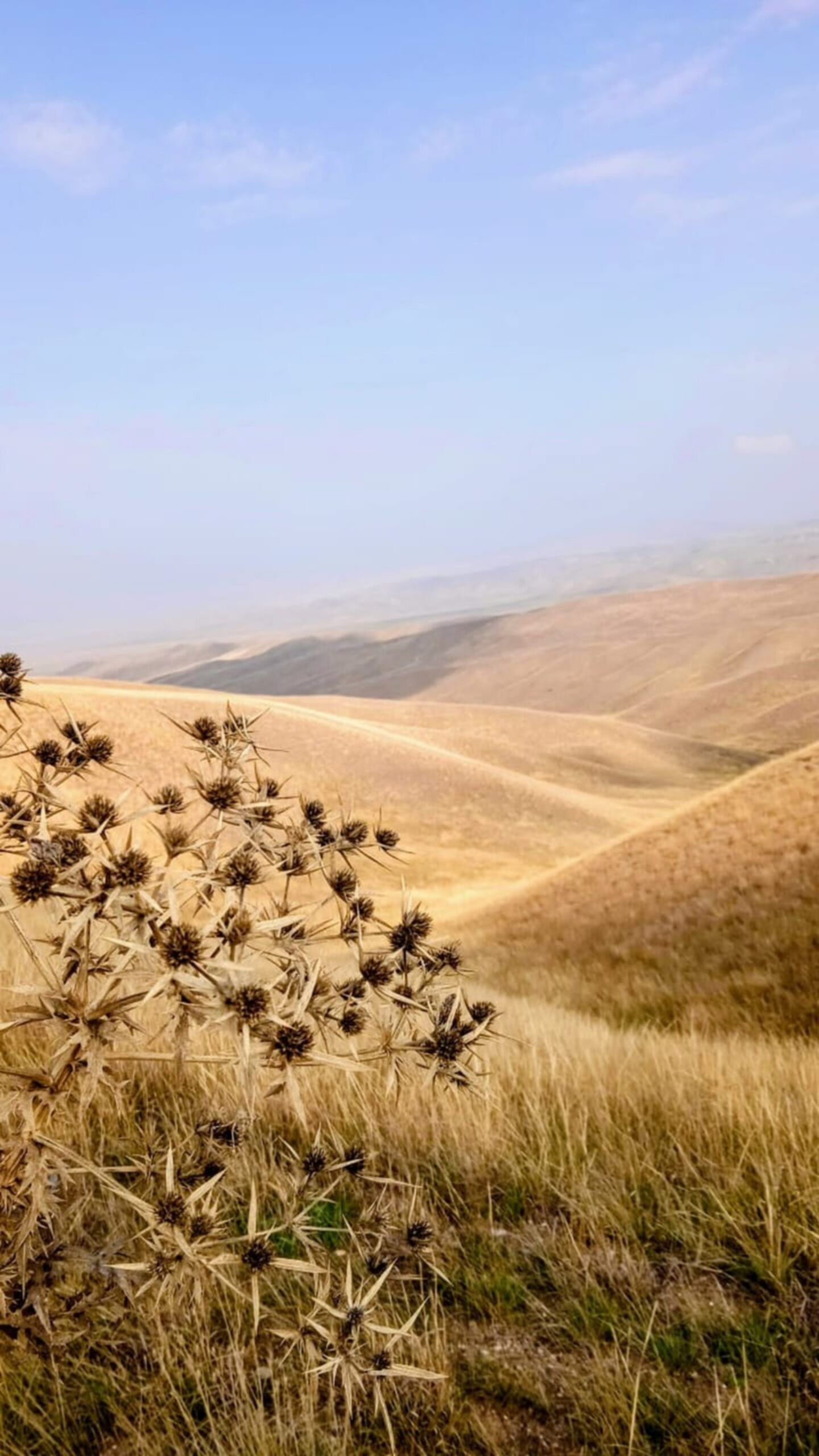 półstep przy granicy z azerbejdżanem