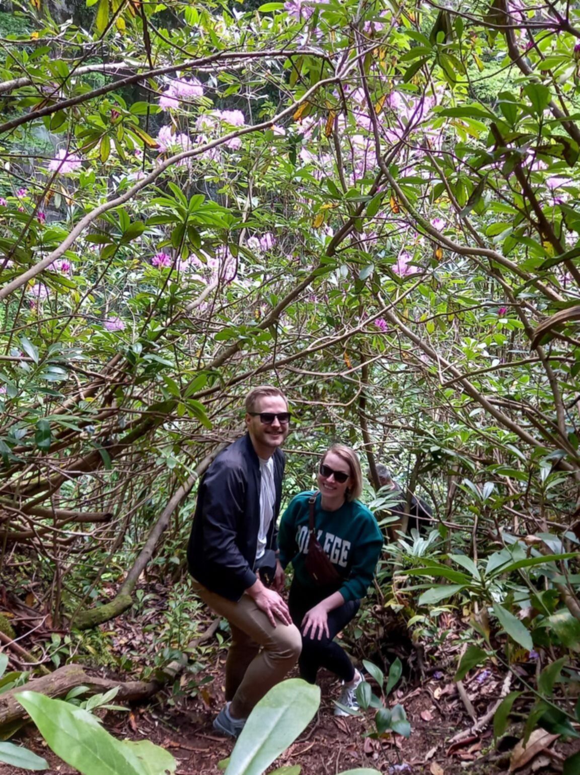 Docieranie do ukrytych atrakcji Adżarii – spacer przez gęstą roślinność podczas wycieczki „Ukryte perełki Adżarii”